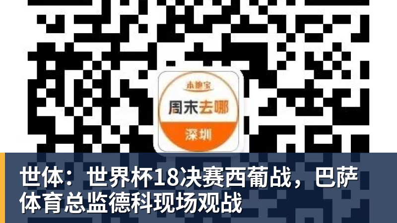 v66体育世体:世界杯18决赛西葡战,巴萨体育总监德科现场观战