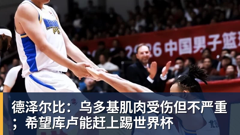 德泽尔比：乌多基肌肉受伤但不严重；希望库卢能赶上踢世界杯